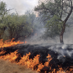 Sand Stone Fire 2024, photo on the cover of the 2024 Southwest Wildfire Season Overview Report. Photo by Nick Castro